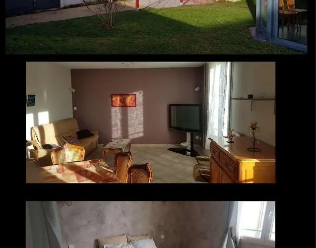 Les Galipes Mareuil-sur-Ay